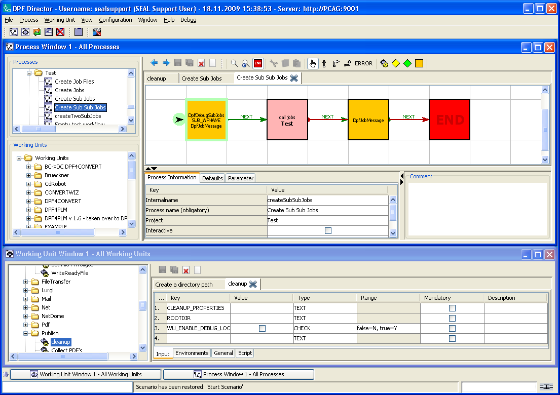 Main view of the DPF Director